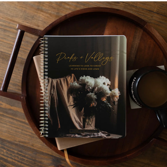 Peaks & Valleys: Learning to Look to Christ in Life's Highs and Lows